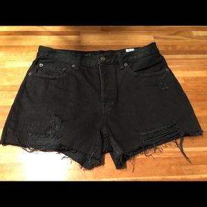 We The Free Shorts-NWOT